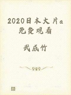 2020日本大片a免费观看