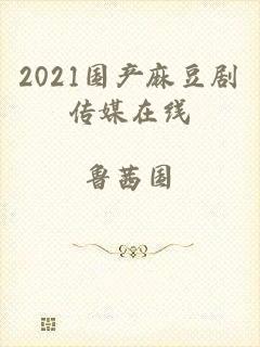 2021国产麻豆剧传媒在线