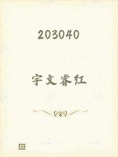 203040