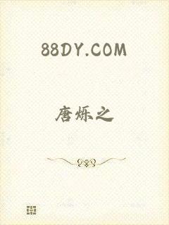 88DY.COM