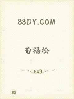 88DY.COM