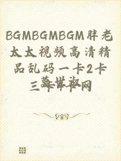 BGMBGMBGM胖老太太视频高清精品乱码一卡2卡三卡4卡网