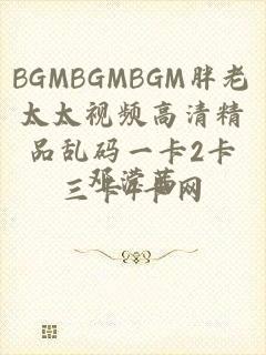 BGMBGMBGM胖老太太视频高清精品乱码一卡2卡三卡4卡网