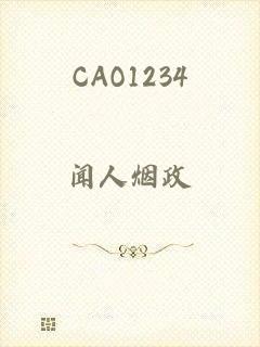 CAO1234