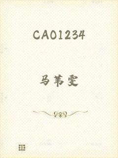 CAO1234