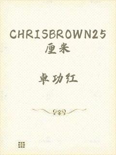 CHRISBROWN25厘米