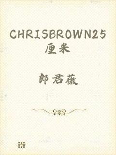 CHRISBROWN25厘米