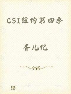 CSI纽约第四季