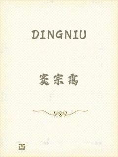 DINGNIU