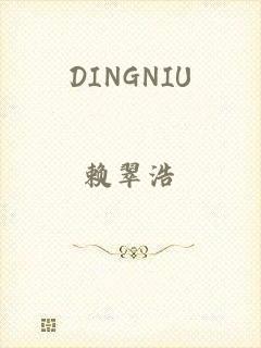 DINGNIU