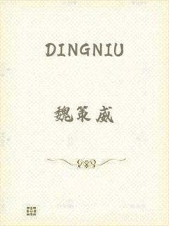 DINGNIU