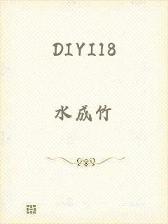 DIYI18