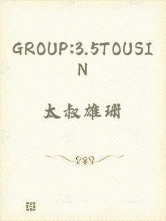 GROUP:3.5TOUSIN