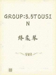 GROUP:3.5TOUSIN