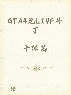 GTA4免LIVE补丁