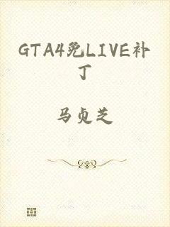 GTA4免LIVE补丁