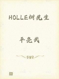 HOLLE树先生