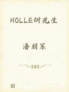 HOLLE树先生