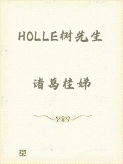 HOLLE树先生