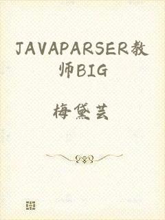 JAVAPARSER教师BIG