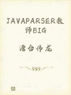 JAVAPARSER教师BIG