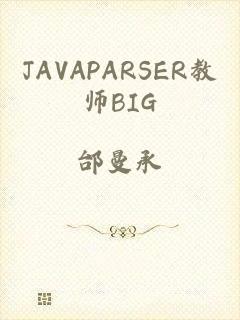 JAVAPARSER教师BIG