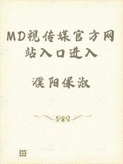 MD视传媒官方网站入口进入