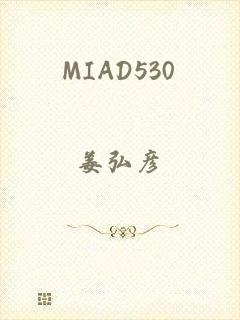 MIAD530