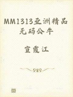 MM1313亚洲精品无码公牛