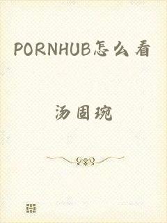 PORNHUB怎么看