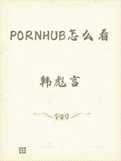 PORNHUB怎么看