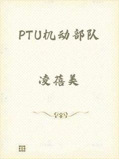 PTU机动部队