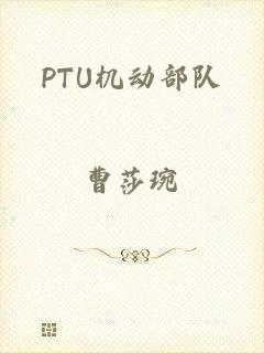 PTU机动部队