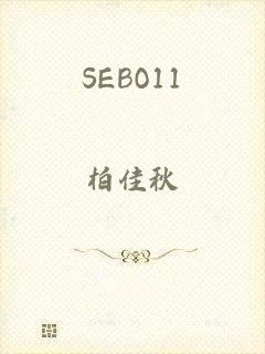 SEBO11