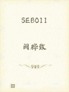 SEBO11