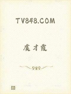 TV848.COM