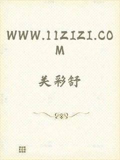 WWW.11ZIZI.COM