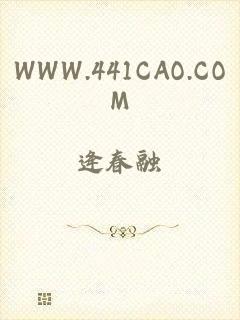 WWW.441CAO.COM