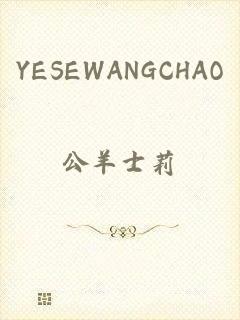 YESEWANGCHAO