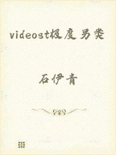 videost极度另类