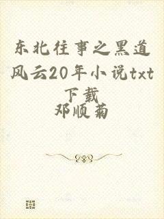 东北往事之黑道风云20年小说txt下载