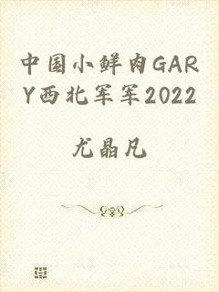 中国小鲜肉GARY西北军军2022