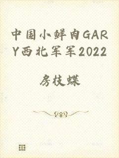 中国小鲜肉GARY西北军军2022