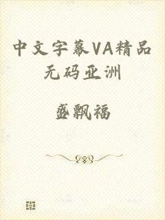 中文字幕VA精品无码亚洲