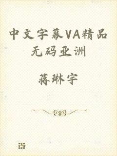 中文字幕VA精品无码亚洲