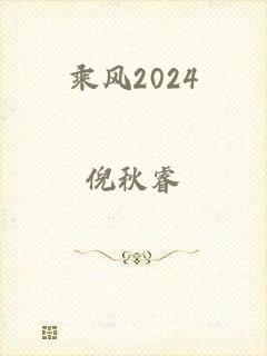 乘风2024