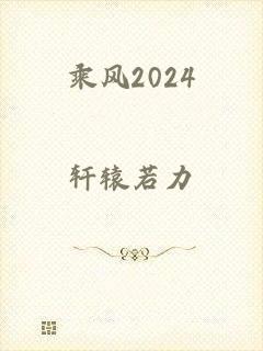 乘风2024