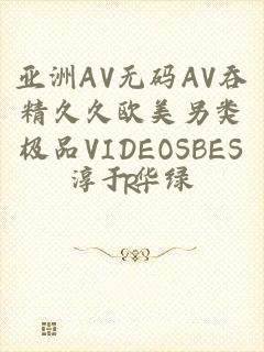 亚洲AV无码AV吞精久久欧美另类极品VIDEOSBESR