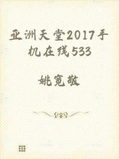 亚洲天堂2017手机在线533