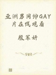 亚洲男同帅GAY片在线观看